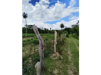 Terreno en venta en Mbatovi, Paraguarí 3