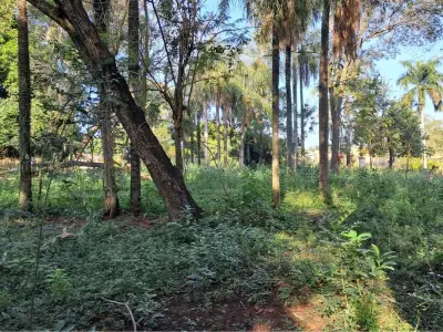 Terreno en venta en Mbocayaty del Norte, Itauguá 3
