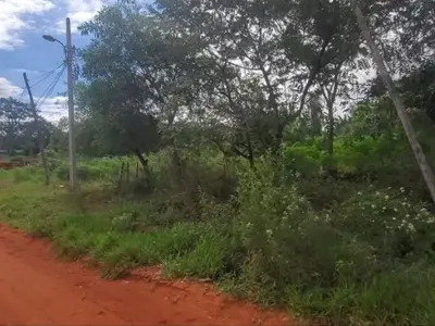 Terreno à venda em Mbocayaty, J. Augusto Saldívar 2