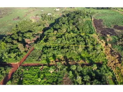 Land for sale in Minga Guazú, Alto Paraná 4