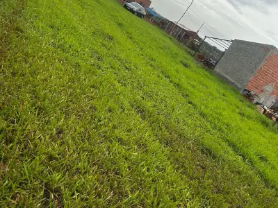 Land for sale in Minga Guazú, Alto Paraná 3