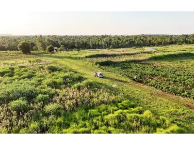 Land for sale in Minga Guazú, Alto Paraná 2