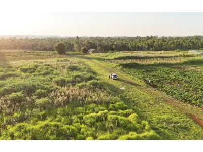 Land for sale in Minga Guazú, Alto Paraná 4