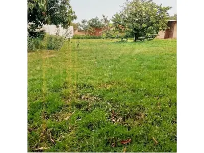 Terreno en venta en Minga Guazú, Alto Paraná 2