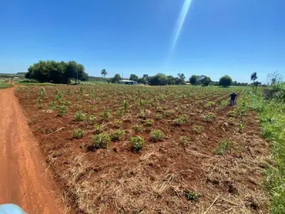 Terreno à venda em Minga Guazú, Km 24 2
