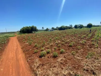 Terreno à venda em Minga Guazú, Km 24 4
