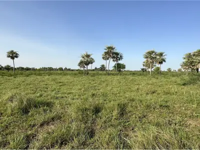 Terreno à venda em Montepila Norte, Villa Hayes 4