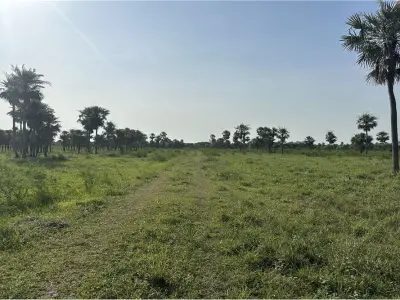 Terreno à venda em Montepila Norte, Villa Hayes 5