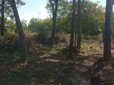 Terreno en venta en Naranjaisy, Villeta — 2 hectáreas 3