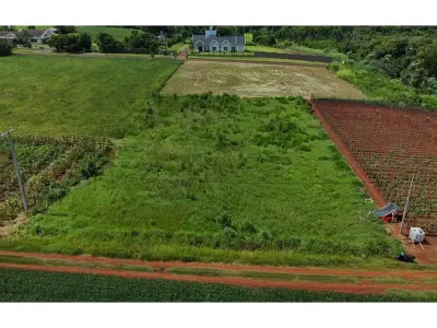 Terreno en venta en Naranjal, Alto Paraná 3