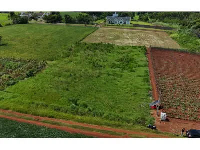 Terreno en venta en Naranjal, Alto Paraná 4