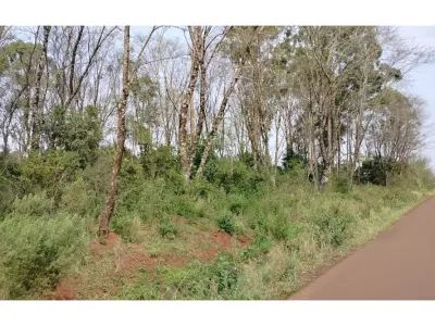 Terreno en venta en Natalio, Itapúa 2