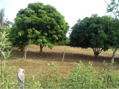 Terreno à venda em Ñu Po'i, Itauguá 2