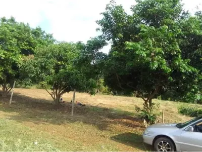 Terreno à venda em Ñu Po'i, Itauguá 3