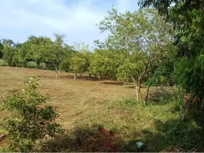 Terreno à venda em Ñu Po'i, Itauguá 4