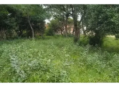 Land for sale in Nueva Colombia, Cordillera 4