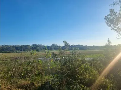 Land for sale in Nueva Colombia, Cordillera 3
