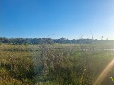 Land for sale in Nueva Colombia, Cordillera 4