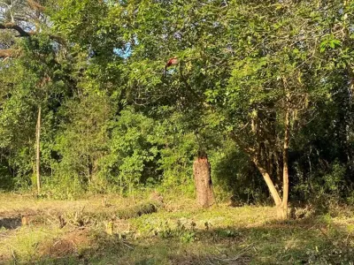 Terreno à venda em Nueva Esperanza, Encarnação 3