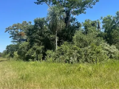 Land for sale in Nueva Italia, Central 2