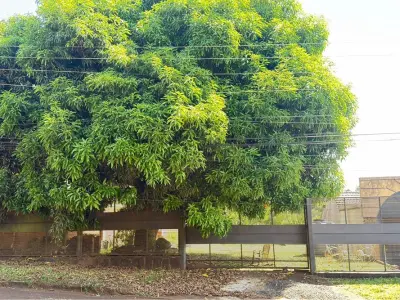 Terreno en venta en Obligado, Itapúa 3