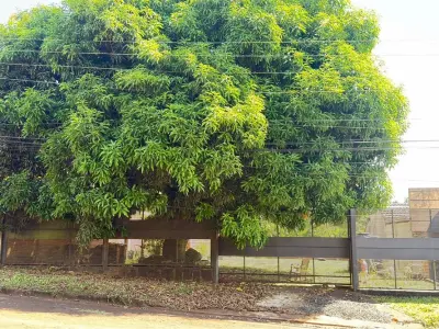 Terreno en venta en Obligado, Itapúa 5