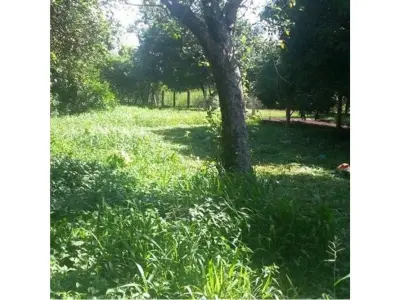Terreno en venta en Obligado, Itapúa 4