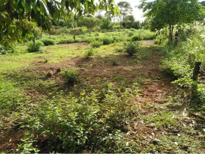 Terreno en venta en Obligado, Itapúa 4
