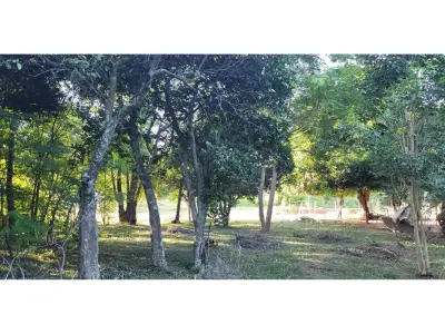 Land for sale in Paraguarí 3
