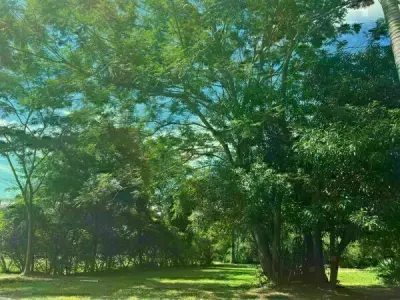 Terreno en venta en Paraná Country Club, Hernandarias 2