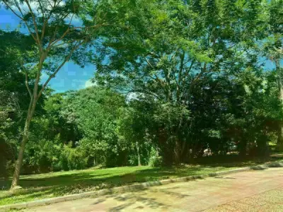Terreno en venta en Paraná Country Club, Hernandarias 3