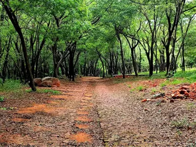 Terreno à venda em Parquealto, Ypacaraí 4