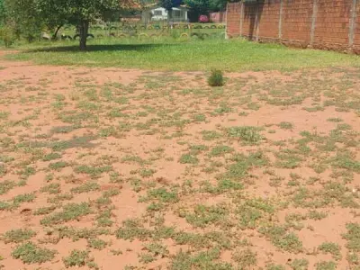 Terreno à venda em Paseo del Valle II, Ypané 2