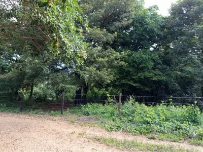 Terreno à venda em Pedrozo, Ypacaraí 5
