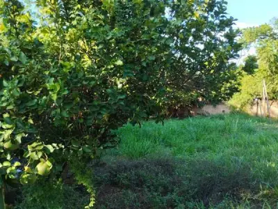 Land for sale in Pindolo, Areguá 3