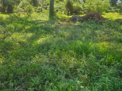 Terreno à venda em Pindolo, Areguá 4