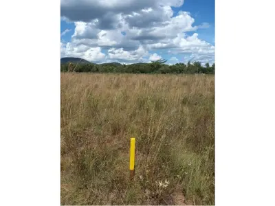 Terreno à venda em Pirayú, Paraguarí 2