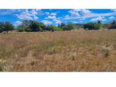 Land for sale in Pirayú, Paraguarí 2