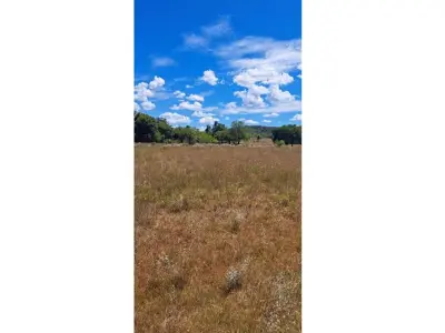 Land for sale in Pirayú, Paraguarí 3