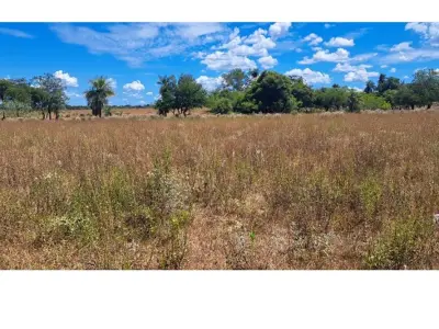 Land for sale in Pirayú, Paraguarí 4