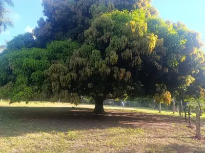 Land for sale in Piribebuy, Cordillera 4