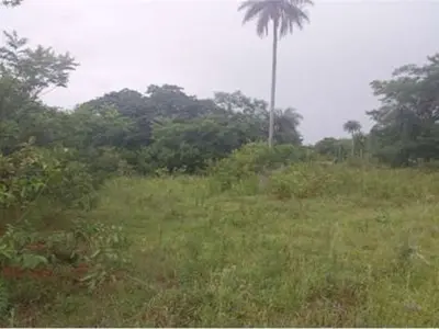 Terreno en venta en Piribebuy, Cordillera 3