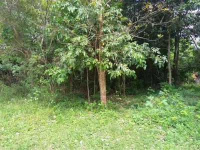 Land for sale in Piribebuy, Cordillera 2