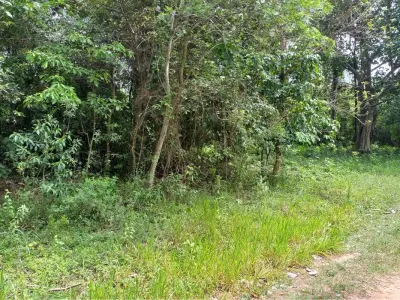 Land for sale in Piribebuy, Cordillera 4