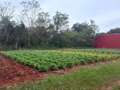 Terreno à venda em Piribebuy, Cordillera 4