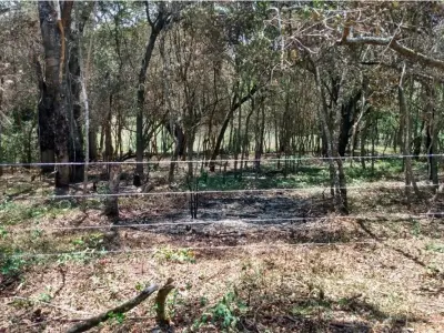 Terreno en venta en Piribebuy, Cordillera 5