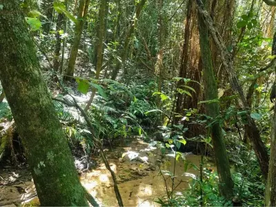 Land for sale in Piribebuy, Cordillera 4