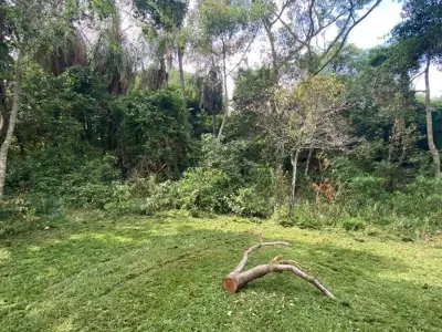 Terreno en venta en Piribebuy, Cordillera 4