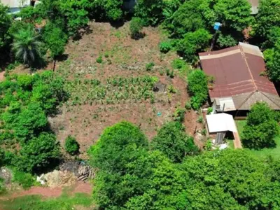 Terreno en venta en Presidente Franco, Alto Paraná 2
