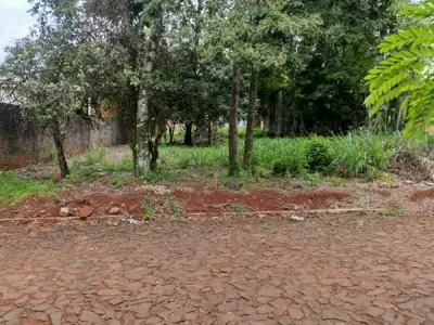 Terreno en venta en Presidente Franco, Alto Paraná 2